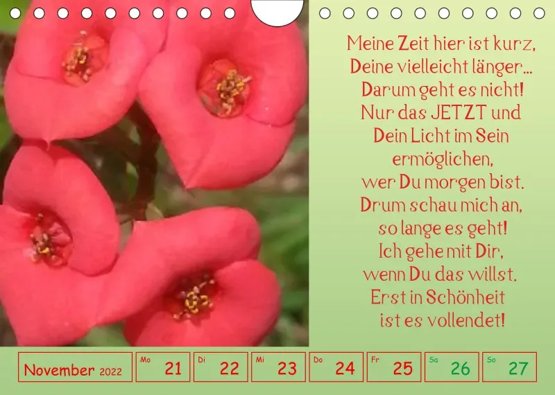 copy: Projekt Nr. 1