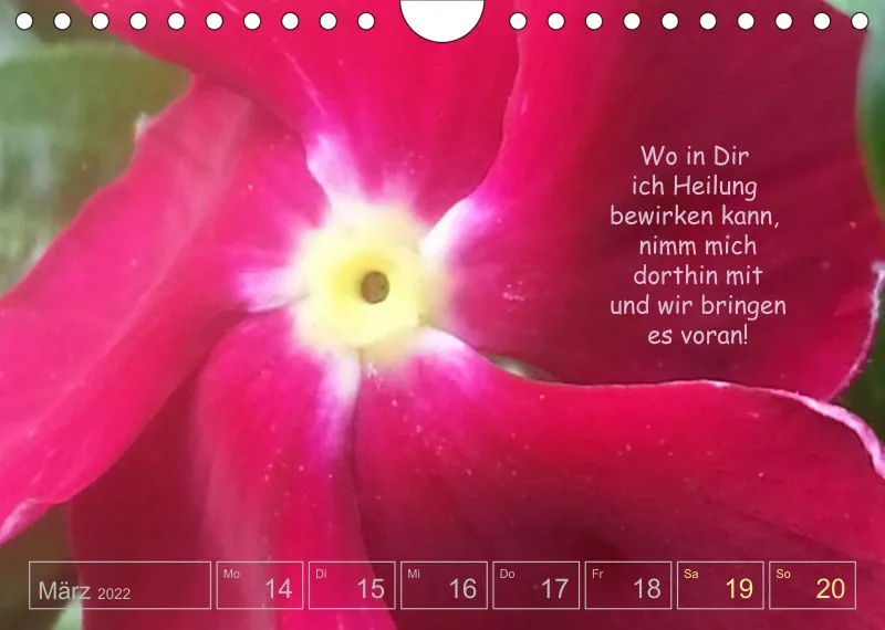 Projekt Nr. 1