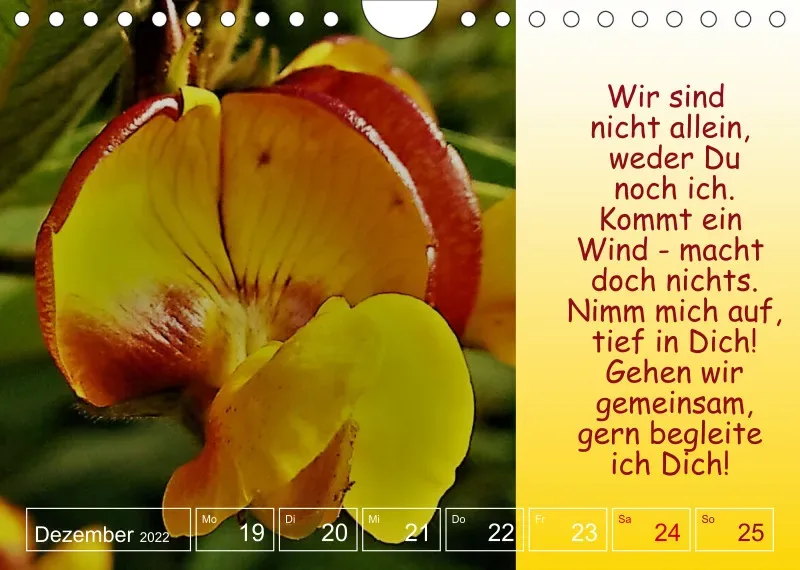 Projekt Nr. 1