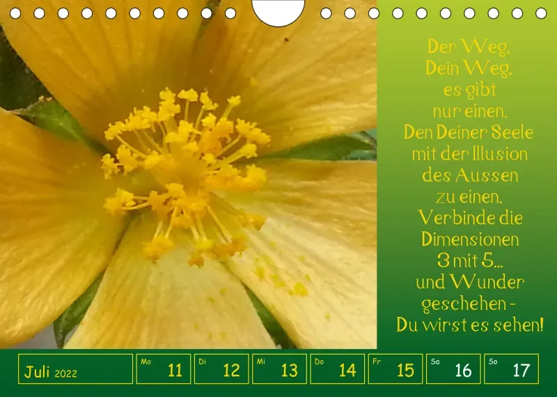 copy: Projekt Nr. 1