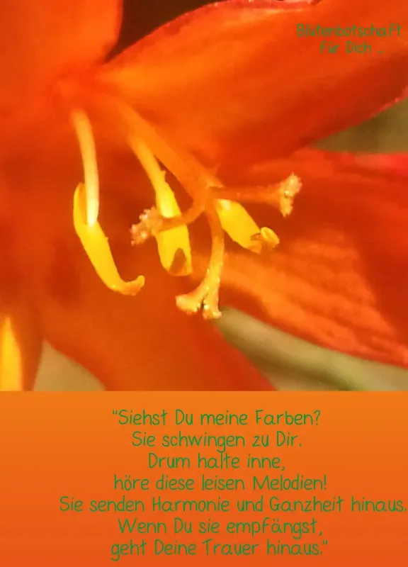 copy: Projekt Nr. 38