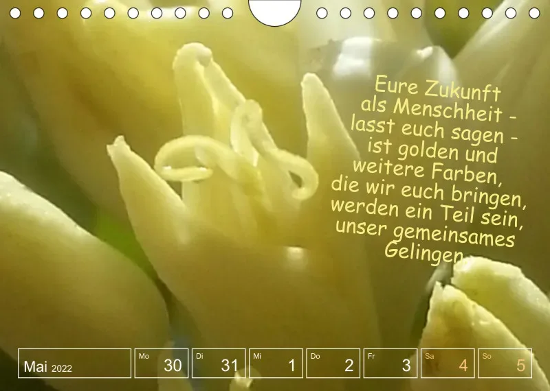 Projekt Nr. 1