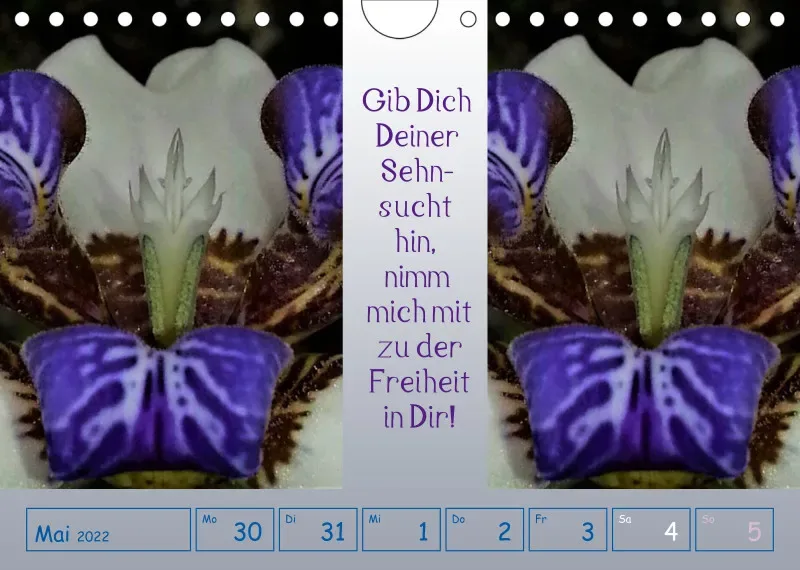 copy: Projekt Nr. 1
