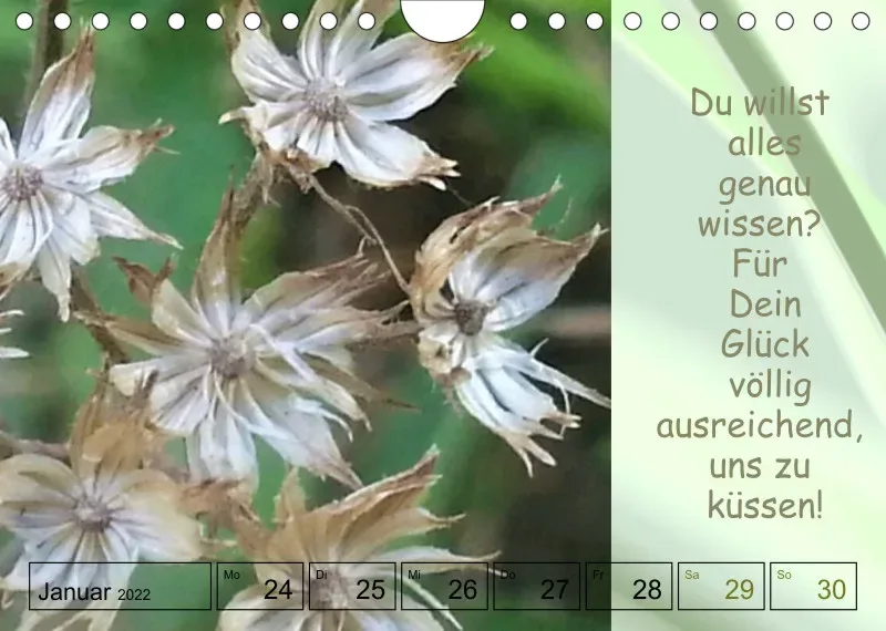 Projekt Nr. 1
