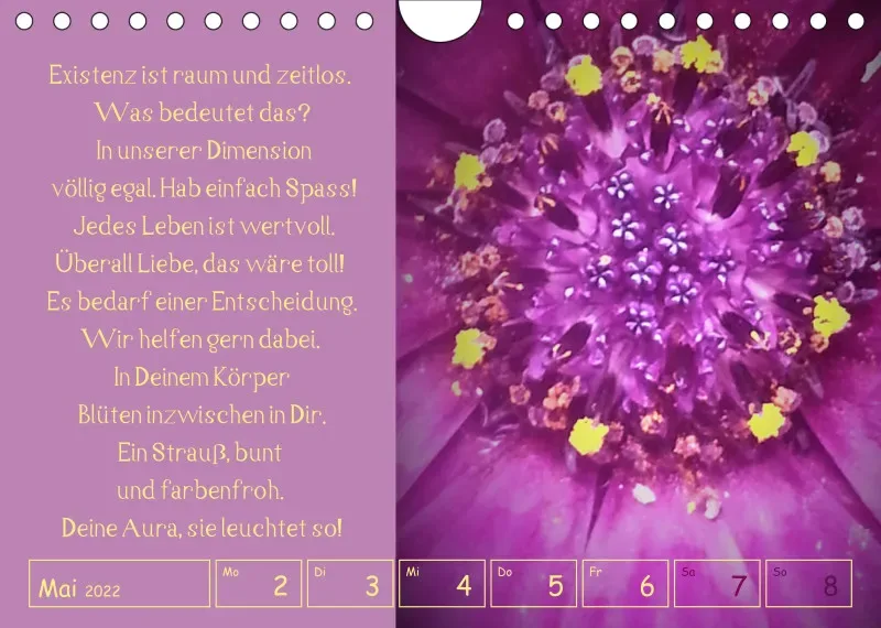 copy: Projekt Nr. 1