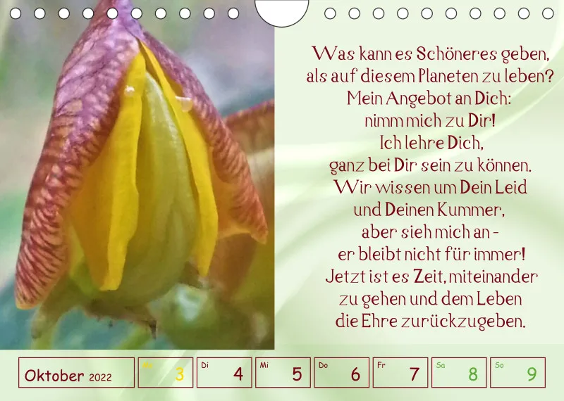 copy: Projekt Nr. 1