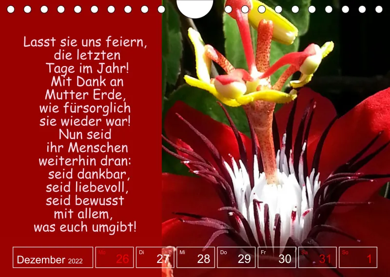 Projekt Nr. 1