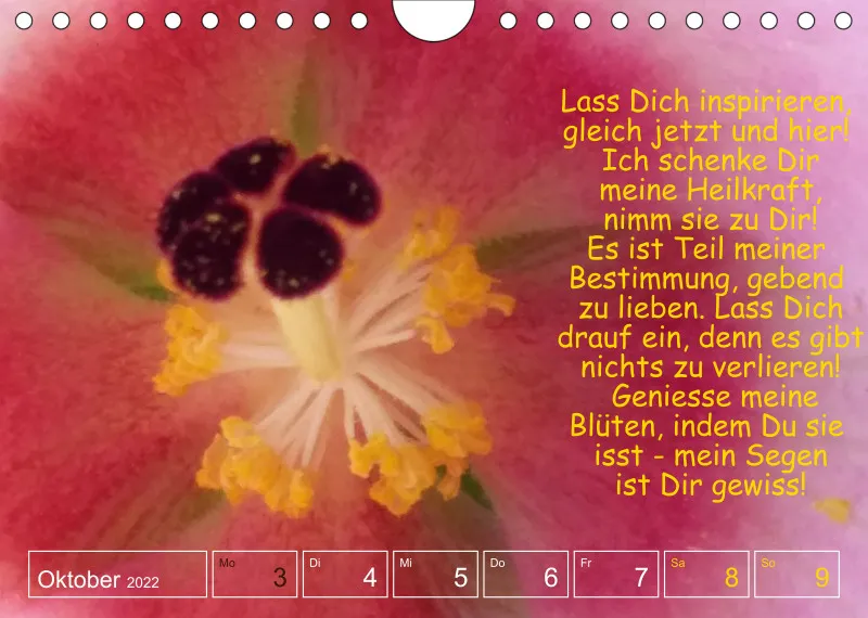 Projekt Nr. 1