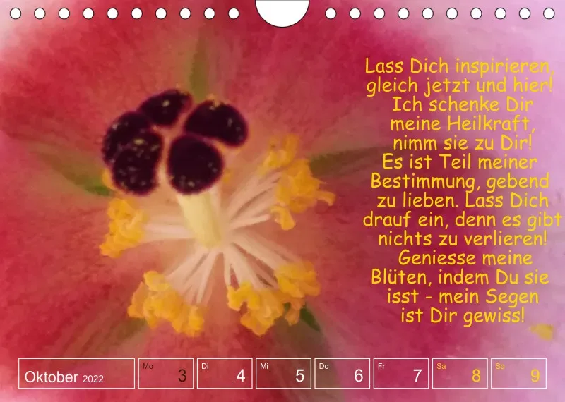 Projekt Nr. 1
