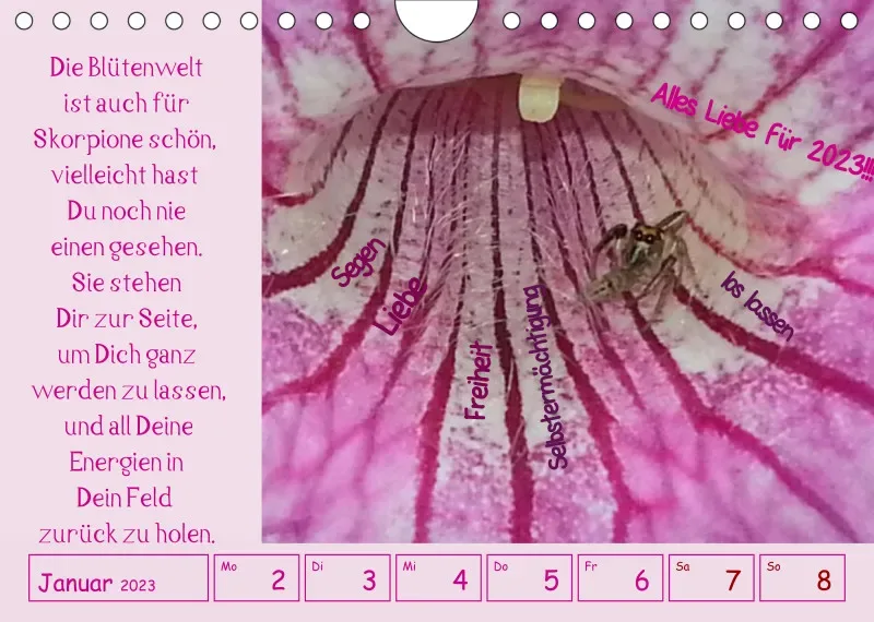copy: Projekt Nr. 1