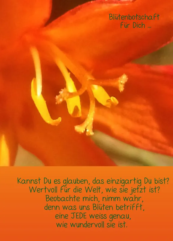 Projekt Nr. 38