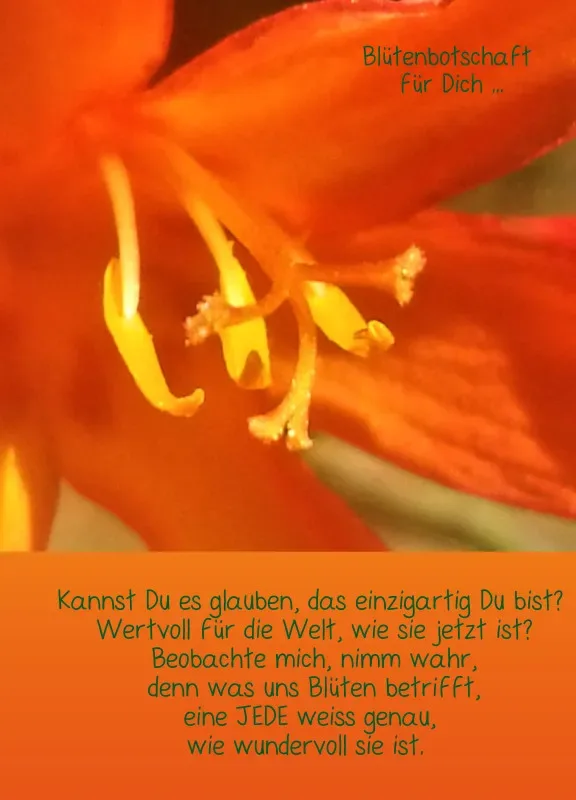 Projekt Nr. 38
