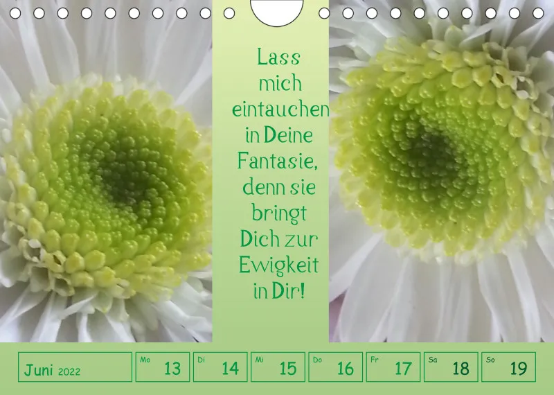 copy: Projekt Nr. 1