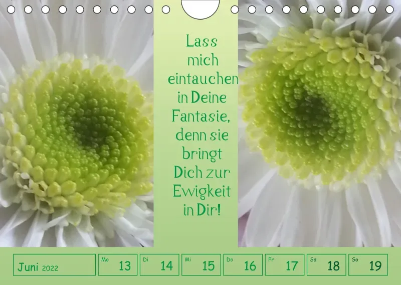 copy: Projekt Nr. 1