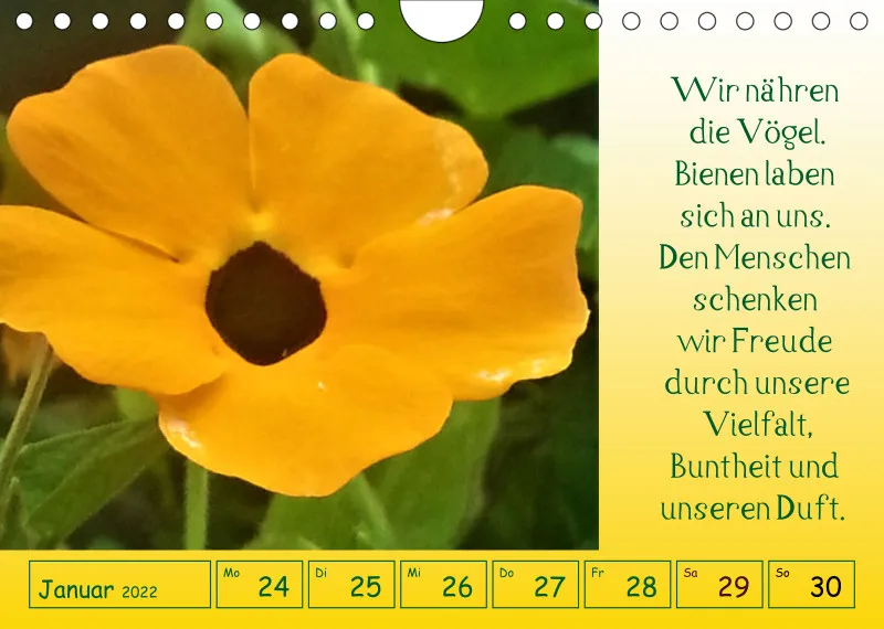 copy: Projekt Nr. 1