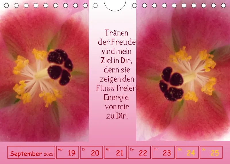 copy: Projekt Nr. 1
