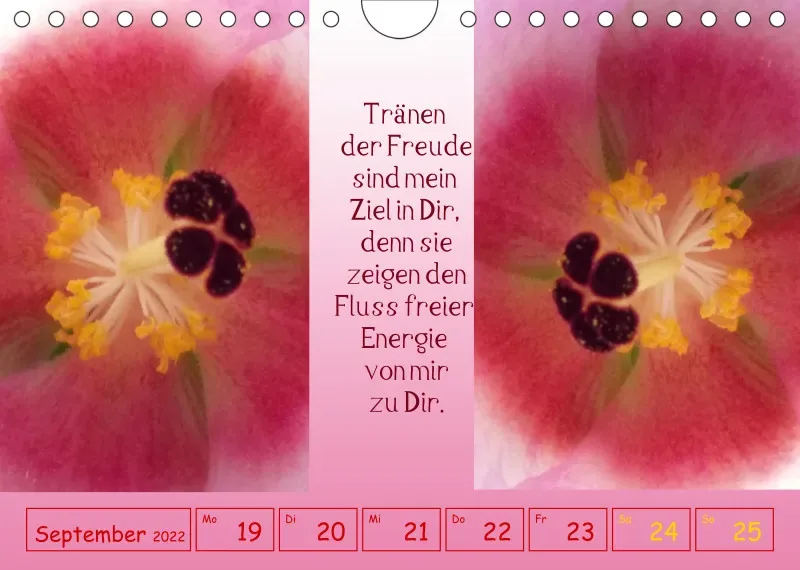 copy: Projekt Nr. 1