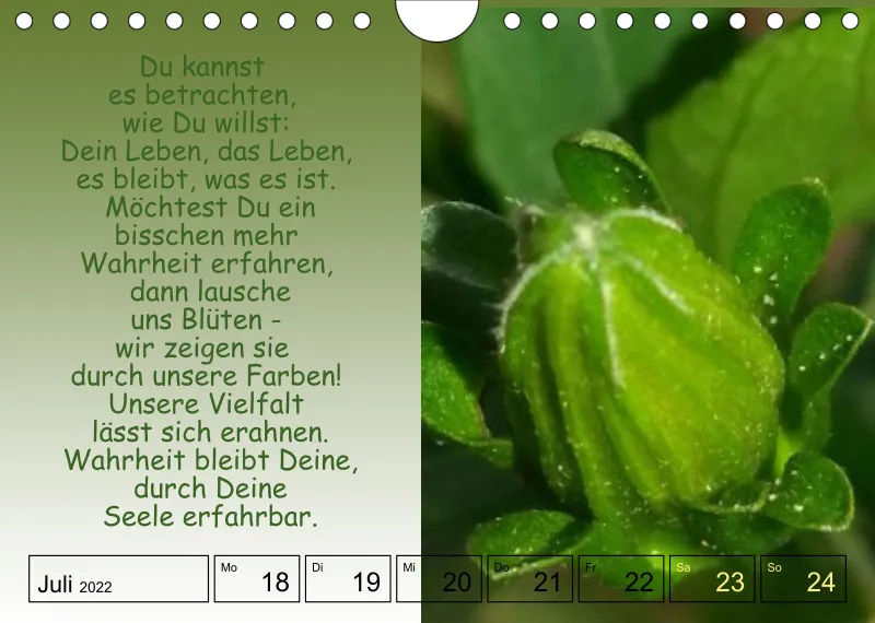 Projekt Nr. 1