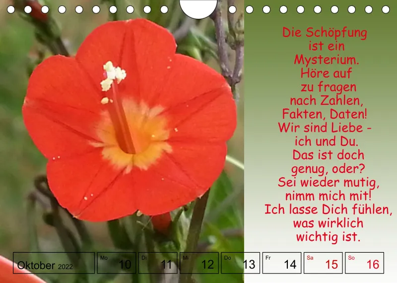 Projekt Nr. 1