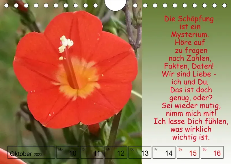 Projekt Nr. 1