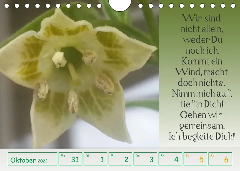 copy: Projekt Nr. 1