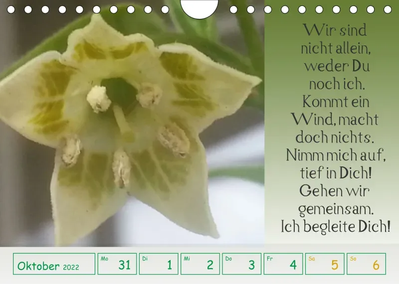 copy: Projekt Nr. 1