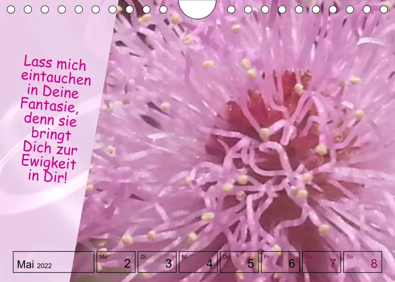 Projekt Nr. 1