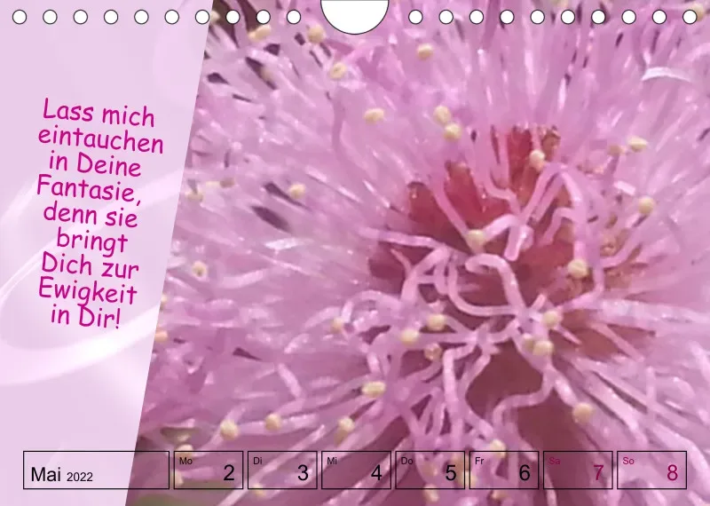 Projekt Nr. 1