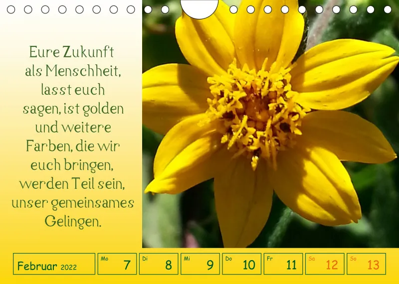 copy: Projekt Nr. 1