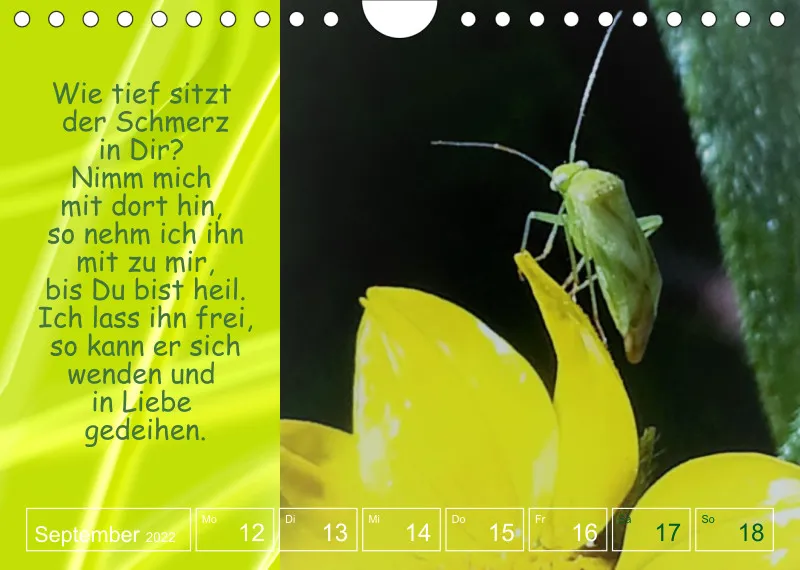 Projekt Nr. 1