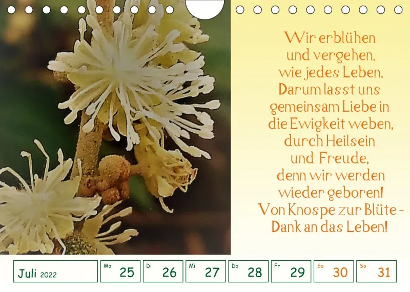 copy: Projekt Nr. 1