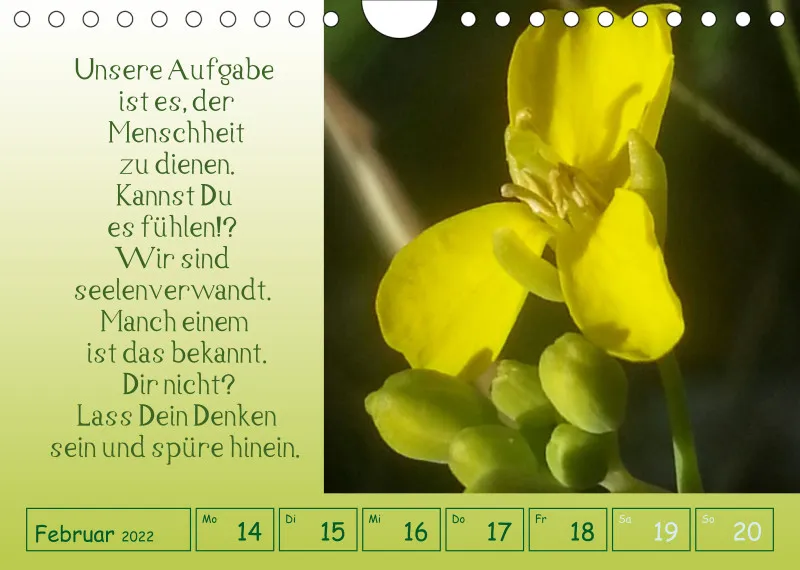 copy: Projekt Nr. 1