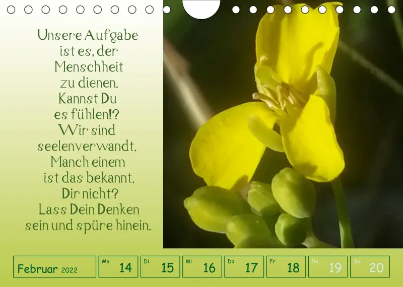 copy: Projekt Nr. 1