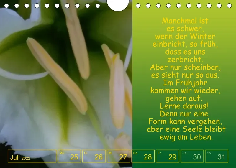 Projekt Nr. 1