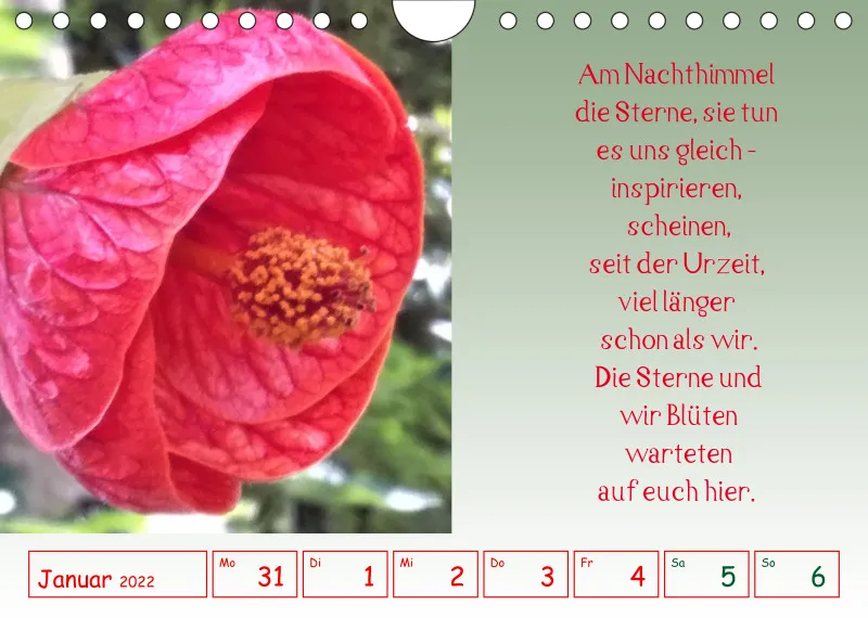 copy: Projekt Nr. 1
