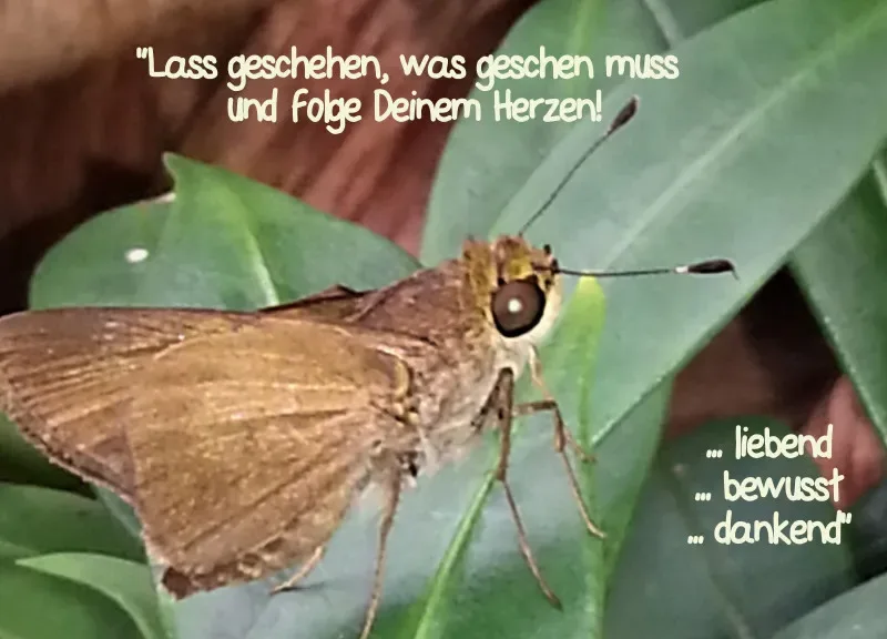 Projekt Nr. 71