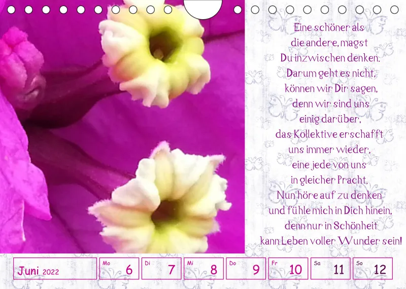 copy: Projekt Nr. 1