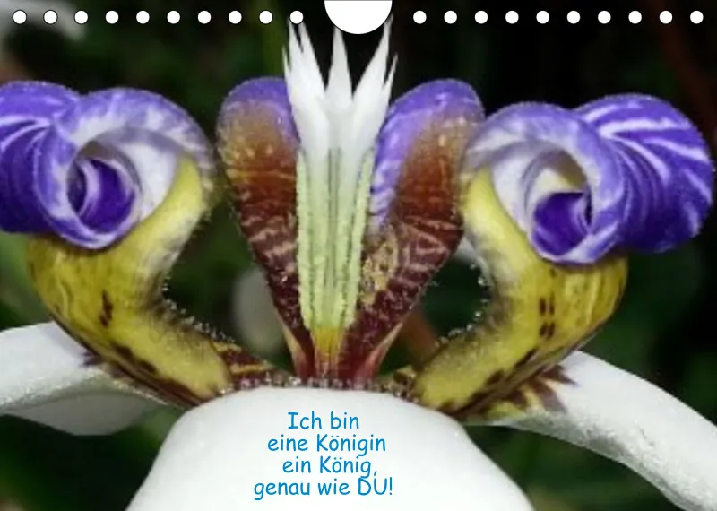 Projekt Nr. 1