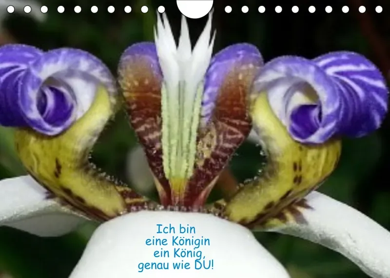 Projekt Nr. 1