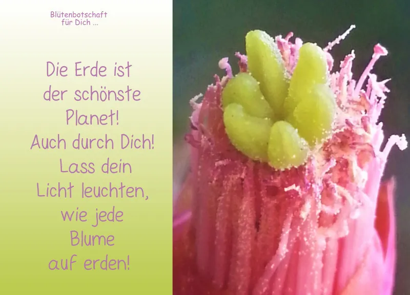 copy: Projekt Nr. 36