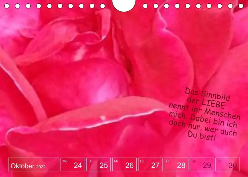 Projekt Nr. 1