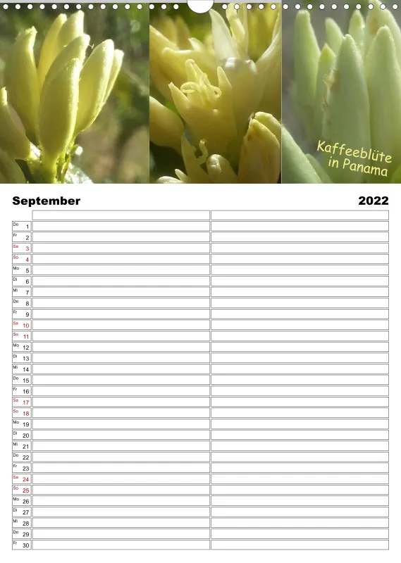 Projekt Nr. 21