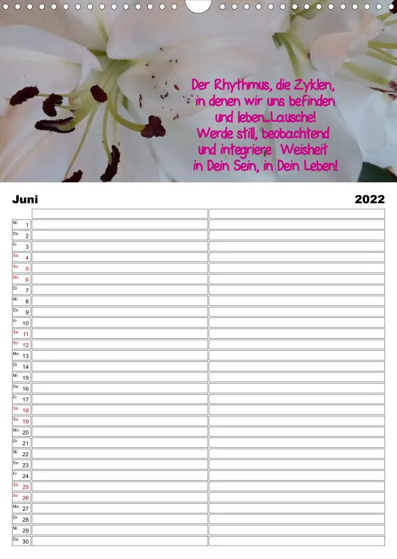 Projekt Nr. 21