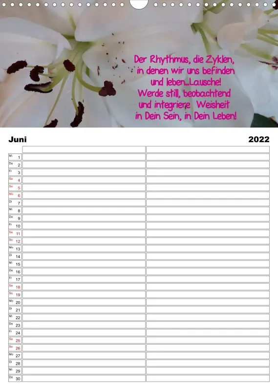 Projekt Nr. 21