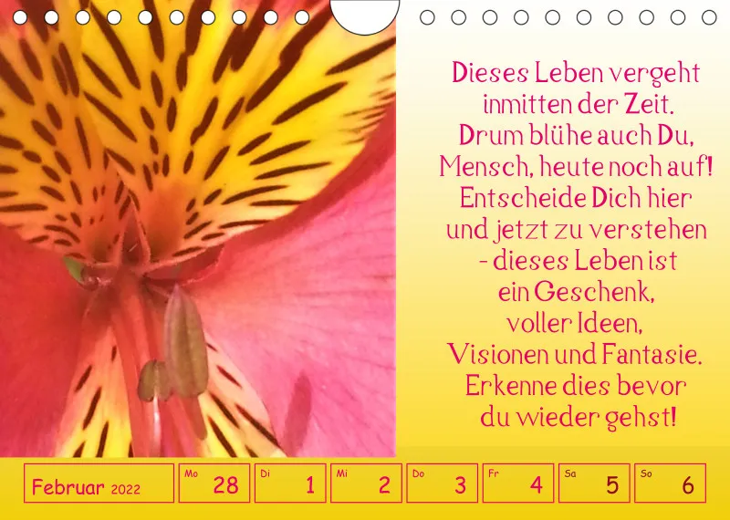 copy: Projekt Nr. 1