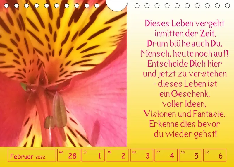 copy: Projekt Nr. 1