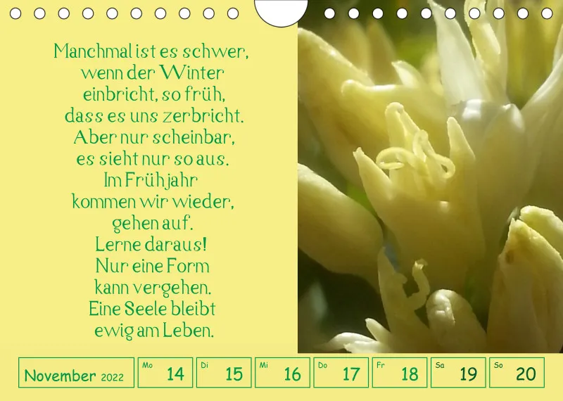 copy: Projekt Nr. 1