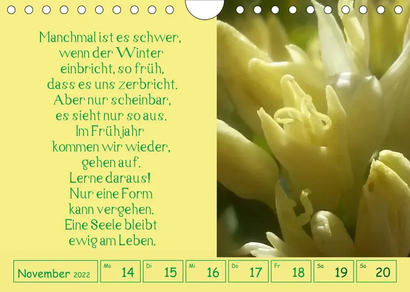copy: Projekt Nr. 1