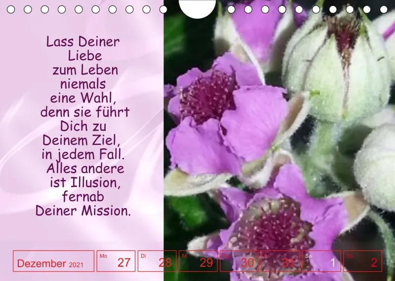 Projekt Nr. 1