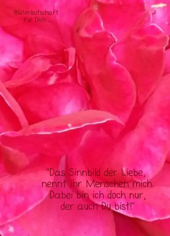 Projekt Nr. 59